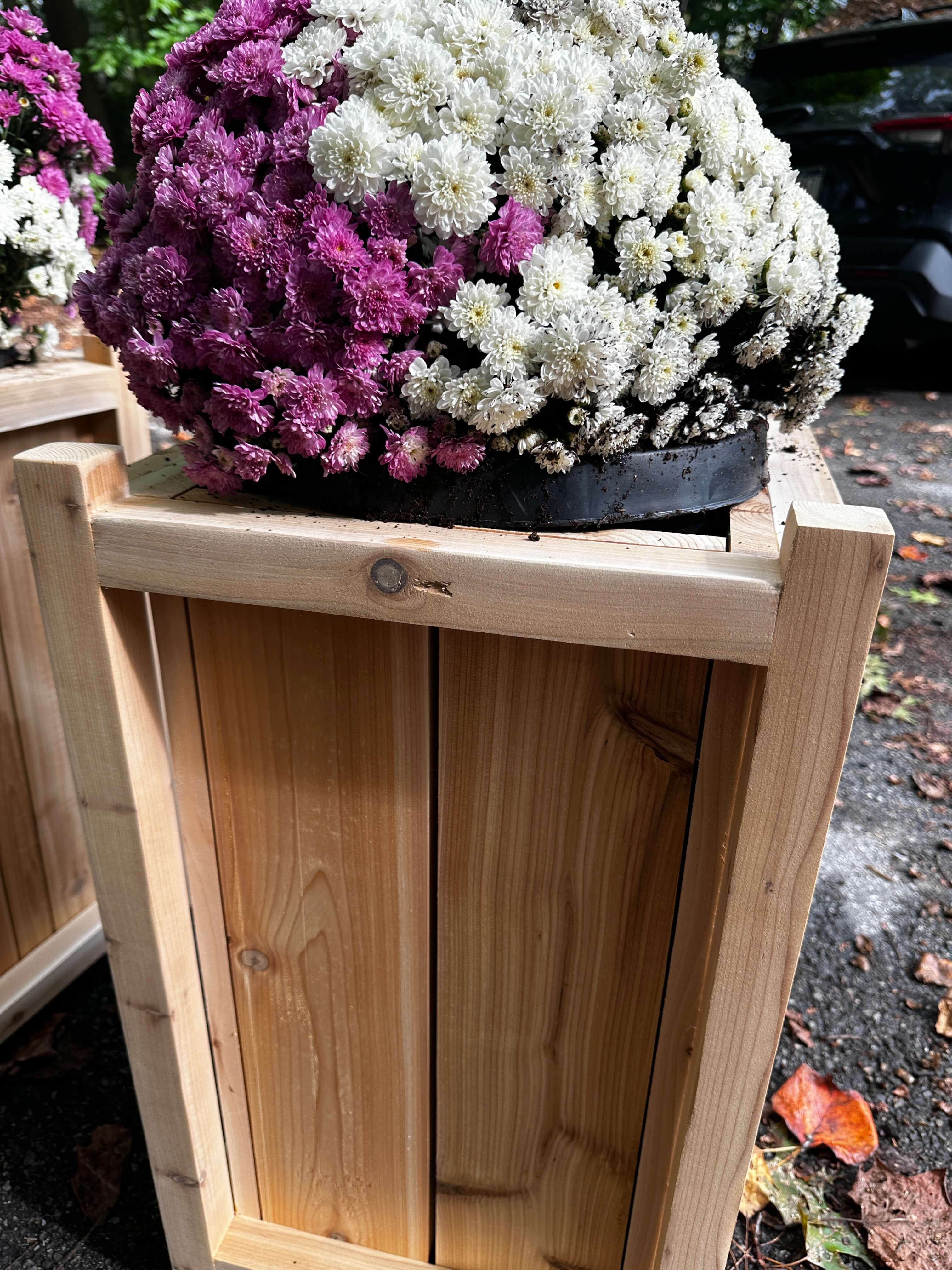 Cedar planter project